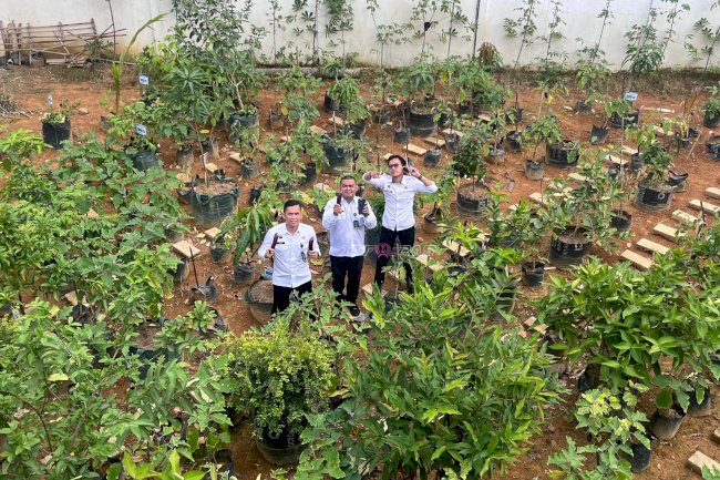 Dukung Kemandirian Warga Binaan, Rutan Barabai Panen 8,7 Kg Terong dari Kebun SAE