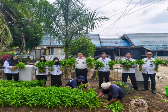 Lapas Amuntai Panen 27 Kg Kangkung di Halaman Rumah Dinas, Wujud Nyata Ketahanan Pangan
