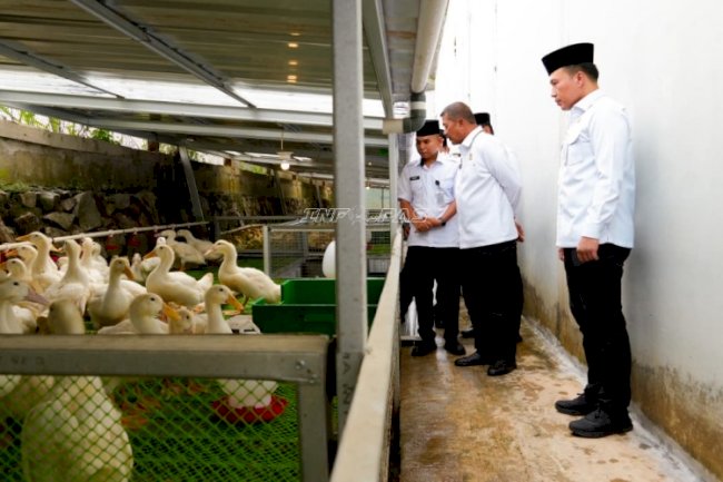 Dirjenpas Tinjau Kebun Inovasi Lapas Cibinong, Perkuat Pembinaan Kemandirian Warga Binaan