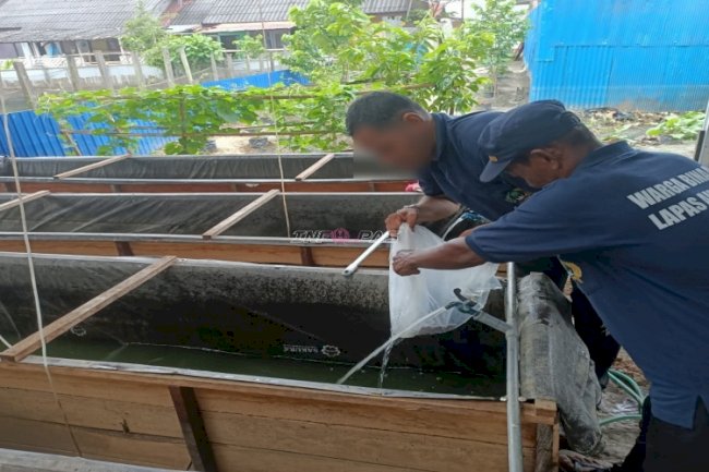 Lapas Amuntai Tebar 2.000 Bibit Lele di Kolam Keramba SAE, Perkuat Program Pembinaan dan Ketahanan Pangan