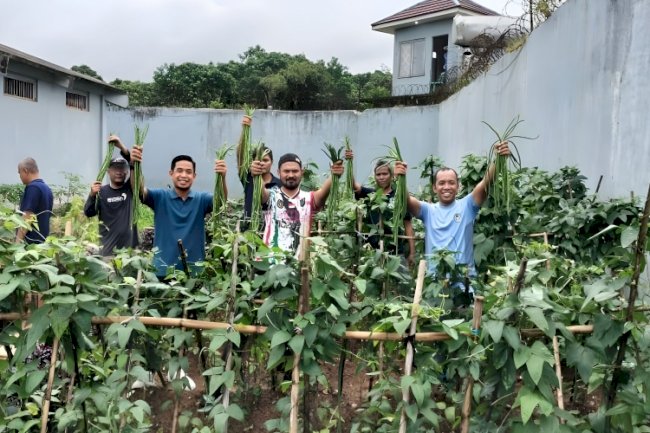 Panen 37 Kg Kacang Panjang, Warga Binaan Lapas Narkotika Karang Intan Asah Keterampilan Bertani