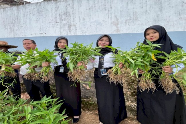 Manfaatkan Lahan Terbatas, Lapas Kotabaru Panen Kangkung Hasil Budidaya Warga Binaan