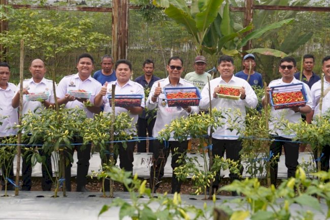 Dukung Ketahanan Pangan, Lapas Banjarbaru Panen 10 Kg Cabai bersama Warga Binaan