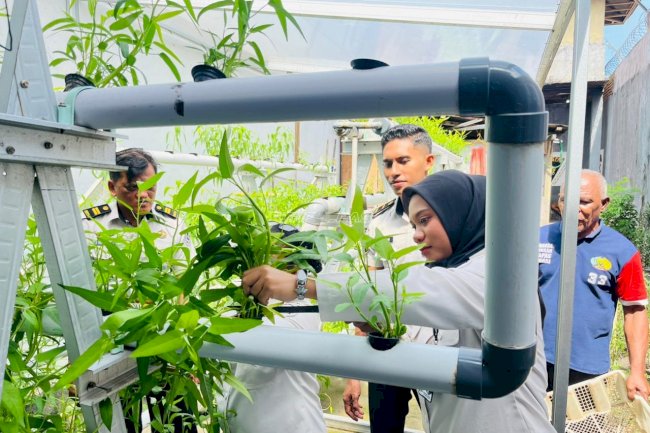Tetap Produktif di Bulan Puasa, Warga Binaan Lapas Wahai Panen Kangkung Hidroponik