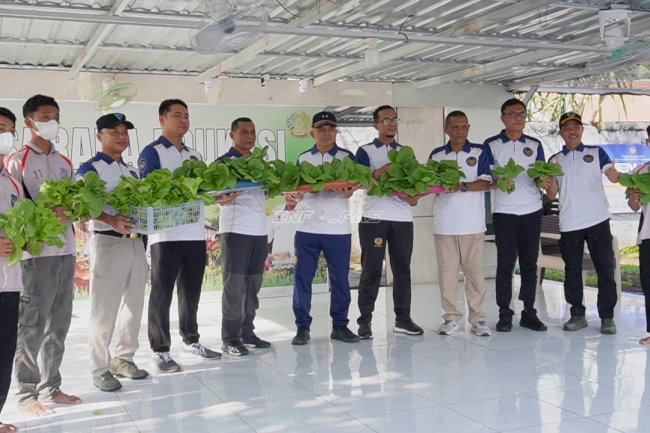 Panen Perdana Hidroponik, Anak Binaan LPKA Martapura Panen Pakcoy dan Selada