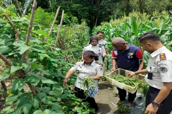 Berkah di Ujung Ramadan, Lapas Wahai Panen Perdana Kacang Panjang