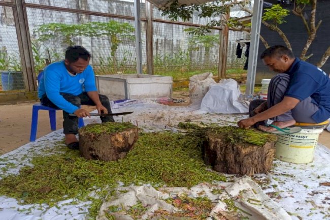 Warga Binaan Lapas Banjarbaru Olah Limbah Dapur Jadi Pupuk Kompos