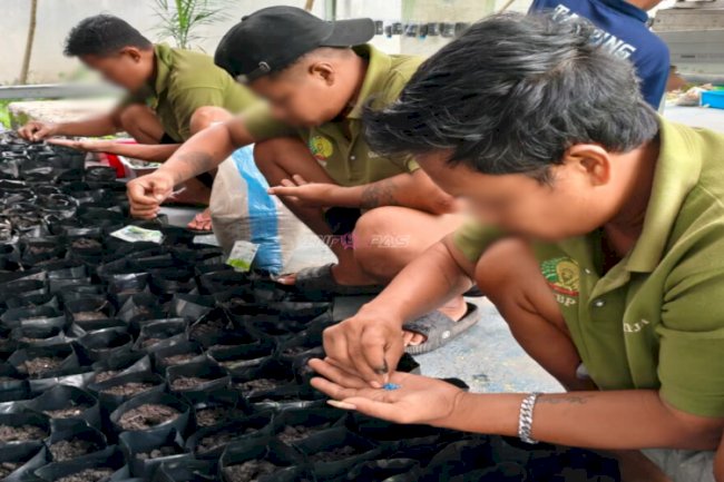 Produktif di Pengujung Ramadan, Warga Binaan Lapas Banjarmasin Budidayakan Terong di SAE 2