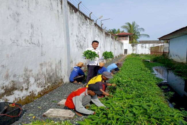 Optimalisasi Lahan Idle, Rutan Marabahan Hasilkan 50 Ikat Kangkung