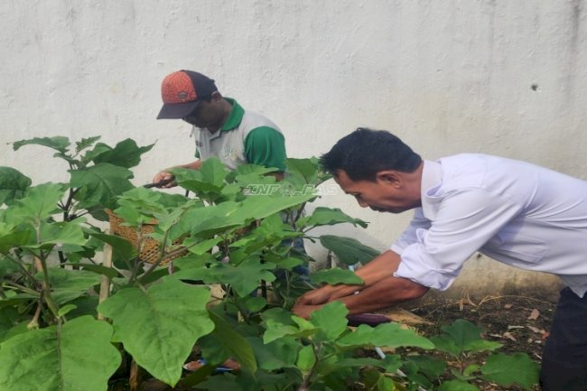 Rutan Barabai Panen Terong, Dorong Pembinaan Warga Binaan
