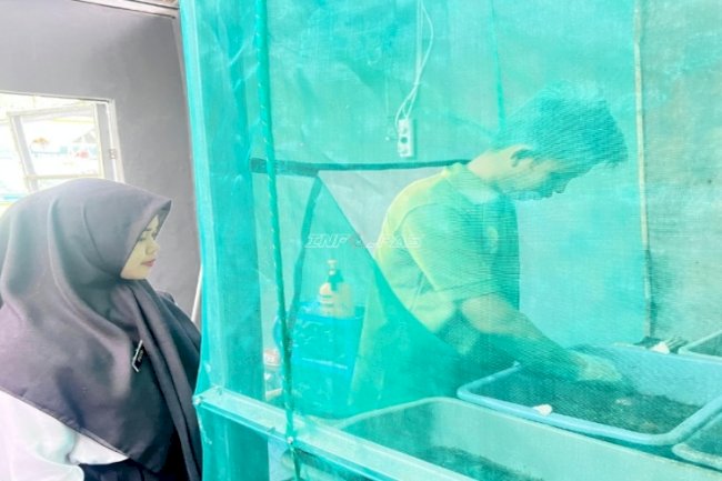 Sulap Limbah Jadi Pakan Bernilai, Lapas Banjarmasin Kembangkan Budidaya Maggot 