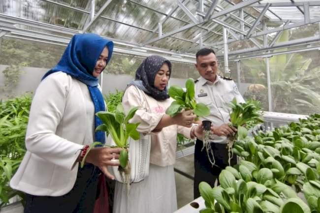 Bapas Tanjungpandan Hadirkan Program Hidroponik, IWAPI Belitung Berikan Apresiasi 