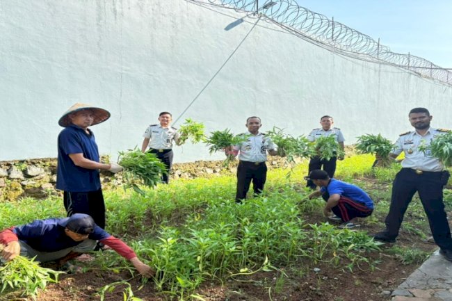 Panen 80 Kg Kangkung, Simbol Konsistensi Pembinaan di Lapas Narkotika Karang Intan