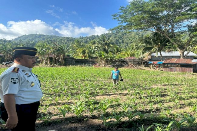 Lahan SAE Lapas Tahuna Tuai Hasil Positif, Kalapas Apresiasi Warga Binaan