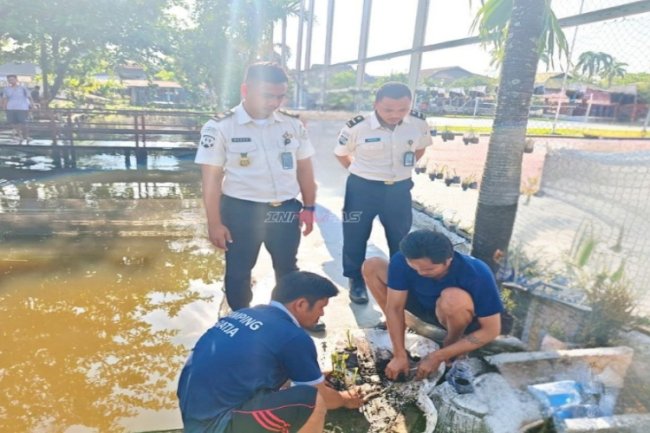 Sulap Limbah Jadi Berkah, Warga Binaan Lapas Banjarmasin Maksimalkan Pemanfaatan Lahan Jadi Taman Produktif