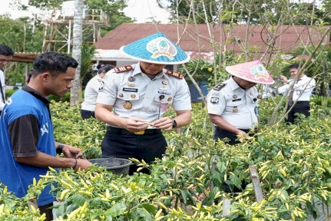 Dukung Kemandirian Pangan, Rutan SoE Panen Sawi dan Cabai di Lahan SAE