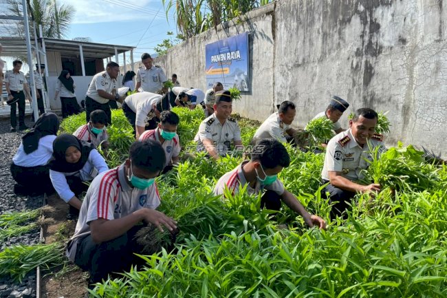 Konsisten Bina Anak Binaan, LPKA Martapura Panen Kangkung Ketiga Kalinya