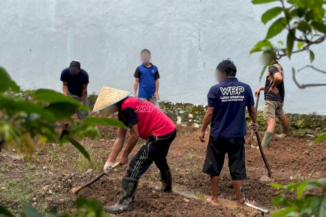 Pastikan Keberlanjutan Budidaya Kangkung, Warga Binaan dan Petugas Lapas Narkotika Karang Intan Garap Lahan