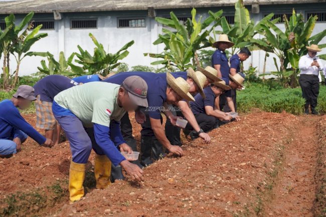 Lapas Banjarbaru Tanam Jagung Manis, Dukung Ketahanan Pangan Nasional