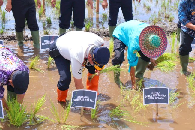 Kanwil Ditjenpas Kalsel Perkuat Kemandirian Pangan melalui Penanaman Padi Perdana di Pagatan Besar