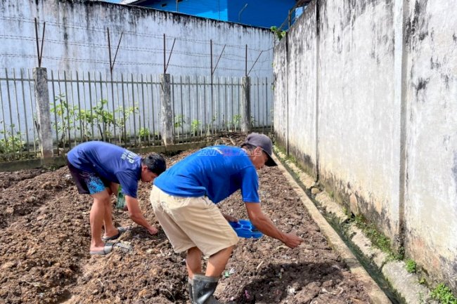 Rutan Barabai Tanam 300 Bibit Buncis, Wujudkan Pembinaan Kemandirian Warga Binaan