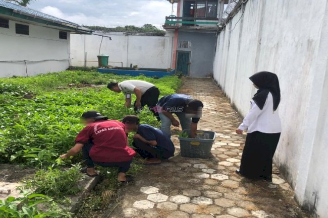 Panen Kangkung di Branggang Lapas Amuntai Hasilkan 30 Kg Sayur Segar