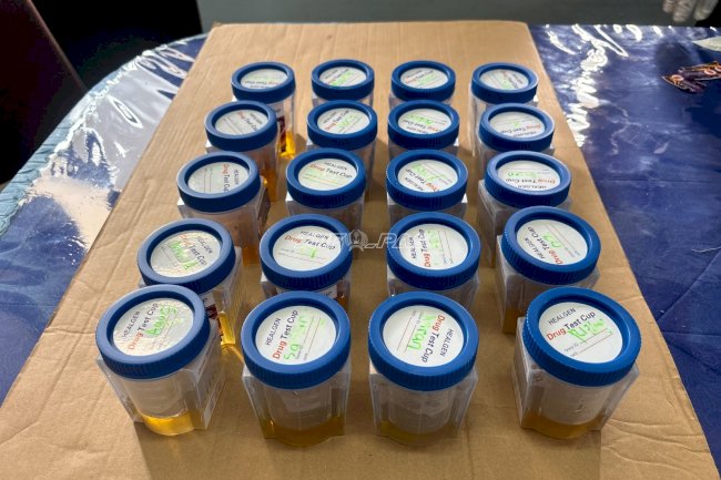 Jelang HBP Ke-62, Kanwil Ditjenpas Sulbar Gencarkan Aksi Berantas Halinar