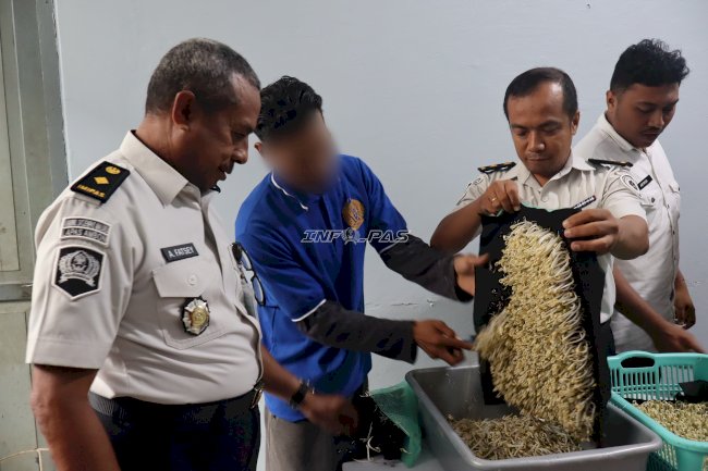Inovasi Pertanian Warga Binaan Lapas Ambon Hasilkan Toge 7 Kg