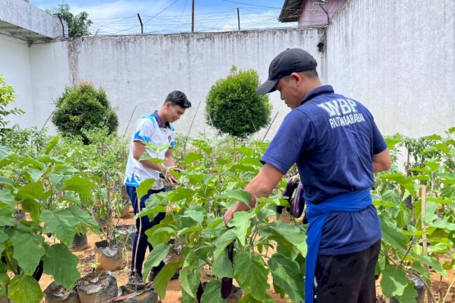 Sukses Pembinaan Kemandirian, Rutan Barabai Panen Beragam Hasil Kebun 
