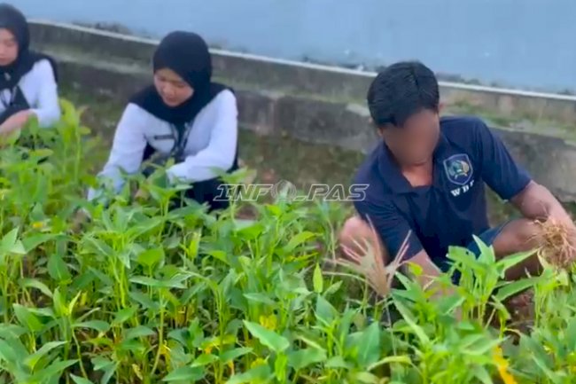 Optimalkan Lahan Terbatas, Lapas Kotabaru Panen 35 Kg Kangkung