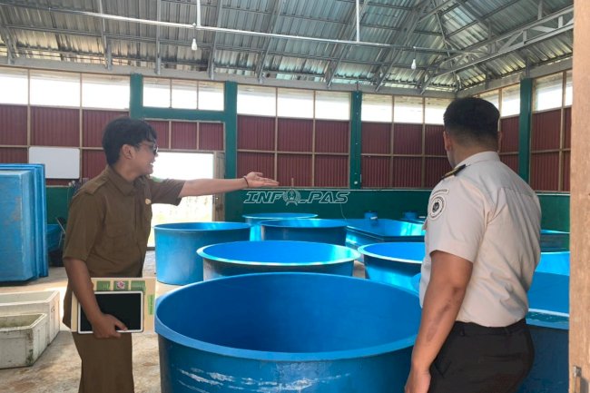 Dorong Keterampilan Produktif, Lapas Batulicin Matangkan Program Budidaya Lele Warga Binaan