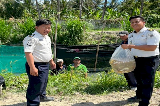 Lapas Palu Wujudkan Warga Binaan Produktif melalui Budidaya Koi