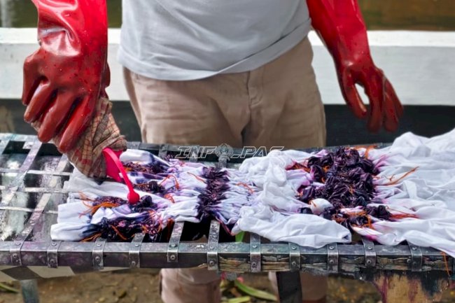 Angkat Kearifan Lokal, Lapas Banjarmasin Latih Warga Binaan Warnai Kain Sasirangan