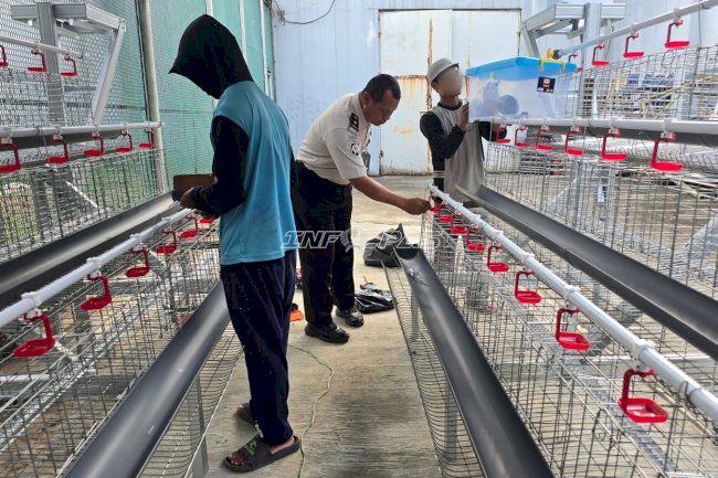 Perkuat Ketahanan Pangan, Lapas Cipinang Hadirkan Program Budidaya Ayam Petelur bagi Warga Binaan