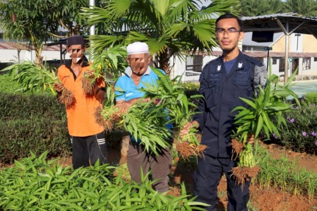 Panen Melimpah, Lapas Batulicin Hasilkan 60 Kg Kangkung dari Program Pembinaan