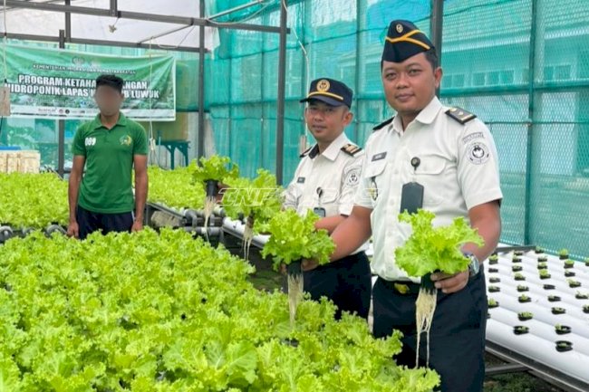 Belajar Menanam di Balik Jeruji, Warga Binaan Lapas Luwuk Kembangkan Sayur Hidroponik