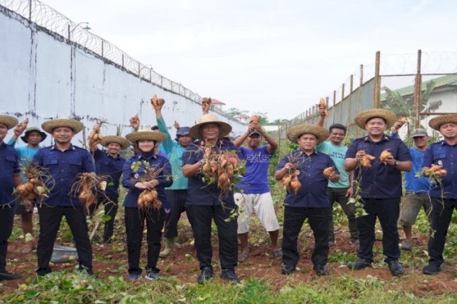 Dukung Program Ketahanan Pangan, Lapas Banjarbaru Panen 75 Kg Ubi Jalar