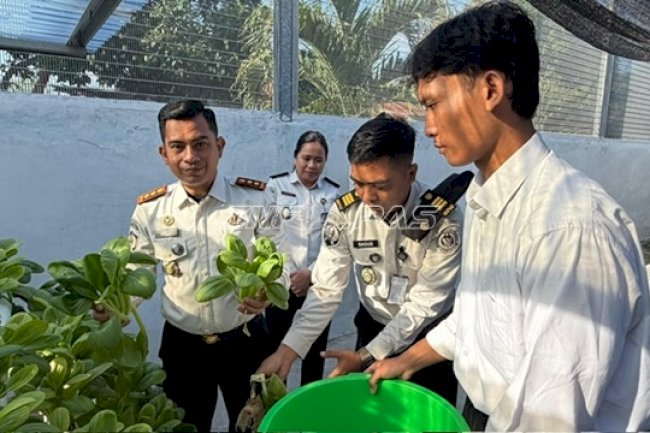 LPKA Palu Panen Perdana Sawi Hidroponik, Bekali Anak Binaan Keterampilan