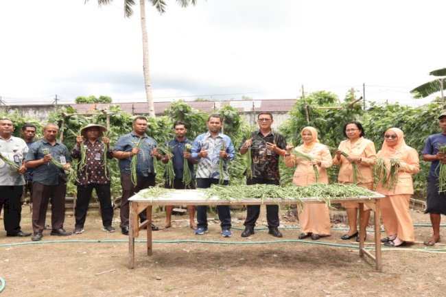 Dukung Kemandirian Pangan, Lapas Ambon Panen Kacang Panjang