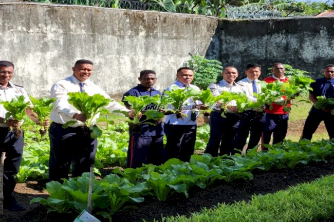 Lapas Tual Panen 27 Kg Sawi Segar, Perkuat Ketahanan Pangan