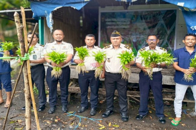 Dari Lahan SAE, Lapas Bandanaira Panen Perdana 20 Ikat Kangkung Segar