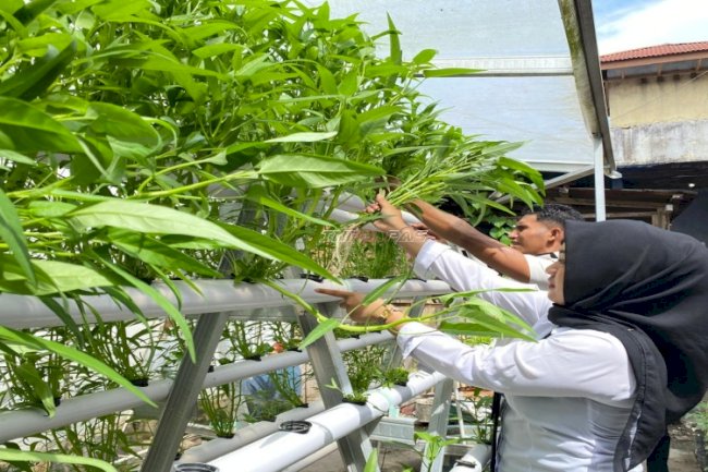 Langkah Nyata Kemandirian Pangan, Lapas Wahai Penuhi Kebutuhan Gizi Dapur dari Kebun Hidroponik