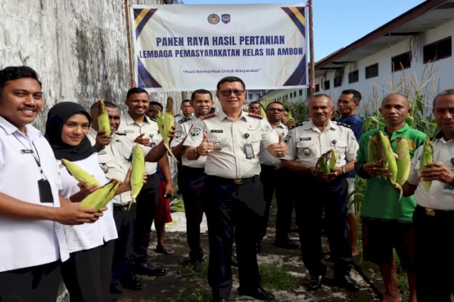 Dukung Kemandirian Ekonomi, Lapas Ambon Panen Jagung dari Lahan Pertanian