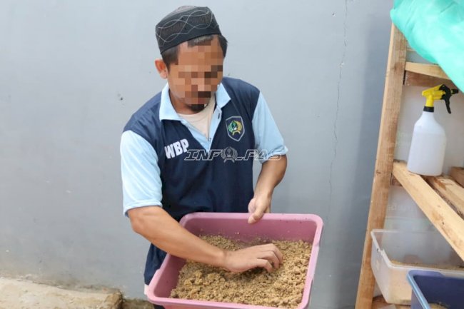 Inovasi Pembinaan, Lapas Batulicin Manfaatkan Limbah Organik untuk Budidaya Maggot