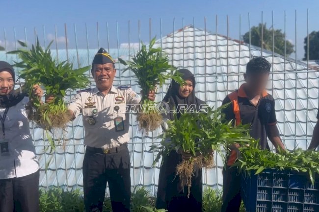 Lapas Kotabaru Buktikan Produktivitas, Panen 46 Kg Kangkung dari Lahan Terbatas