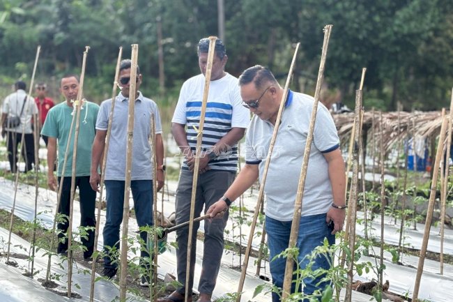 Dorong Ketahanan Pangan, Kakanwil Ditjenpas Sulbar Dukung Pengembangan SAE Rutan Majene