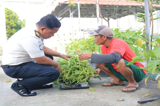 Produktivitas dari Balik Jeruji, Lapas Pemuda Madiun Panen 40 Kg Kangkung