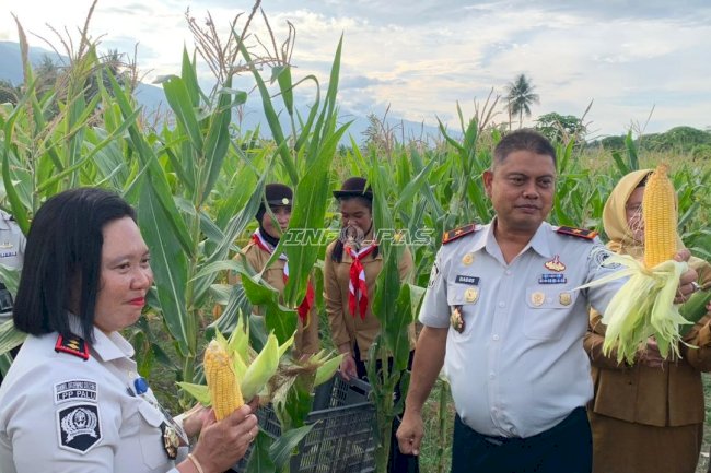 Ubah Lahan Tidur Jadi Produktif, Lapas Perempuan Palu Panen 2.000 Jagung dan Tebar 1.000 Benih Ikan