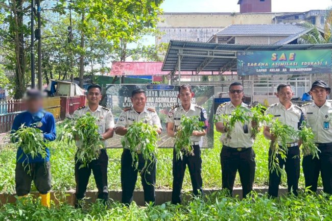 Lapas Banjarmasin Panen Kangkung 100 Kg di Lahan SAE 1