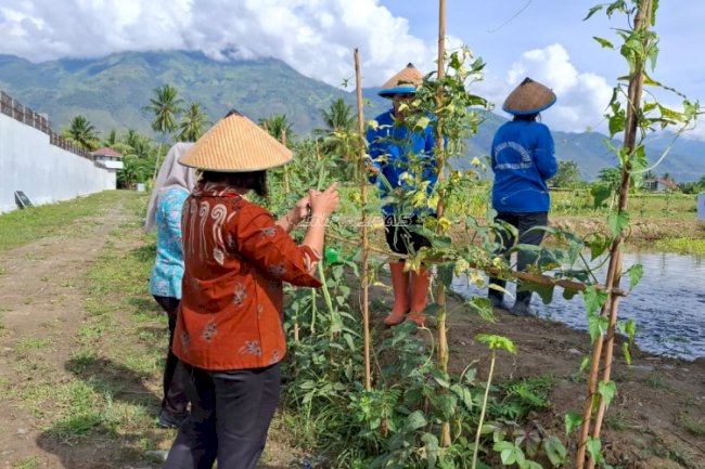 Lapas Perempuan Palu Panen Belasan Kg Sayuran, Bukti Keberhasilan Pembinaan Warga Binaan 